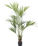 La Plante Artificielle Kentia Palm 150 cm est un grand palmier en pot avec de longues feuilles vertes fines et de multiples troncs, sur un fond uni blanc.