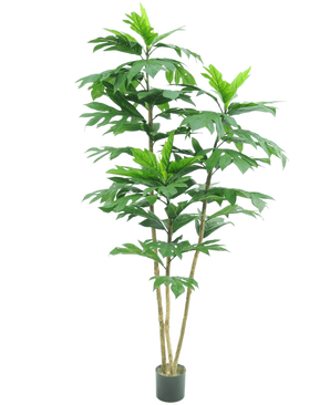 La plante artificielle Nangka 180 cm est une grande plante artificielle avec plusieurs tiges fines brunes et de grandes feuilles vertes brillantes dans un petit pot noir, représentée sur un fond blanc uni.