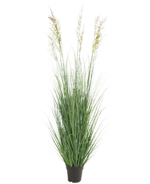 Le gazon artificiel de blé 180 cm ignifuge a de longues lames vertes fines et trois têtes de graines en forme de pointes dans un petit pot noir - idéal pour un jardin de luxe, totalement sans entretien et ignifuge. Affiché sur un fond blanc uni.