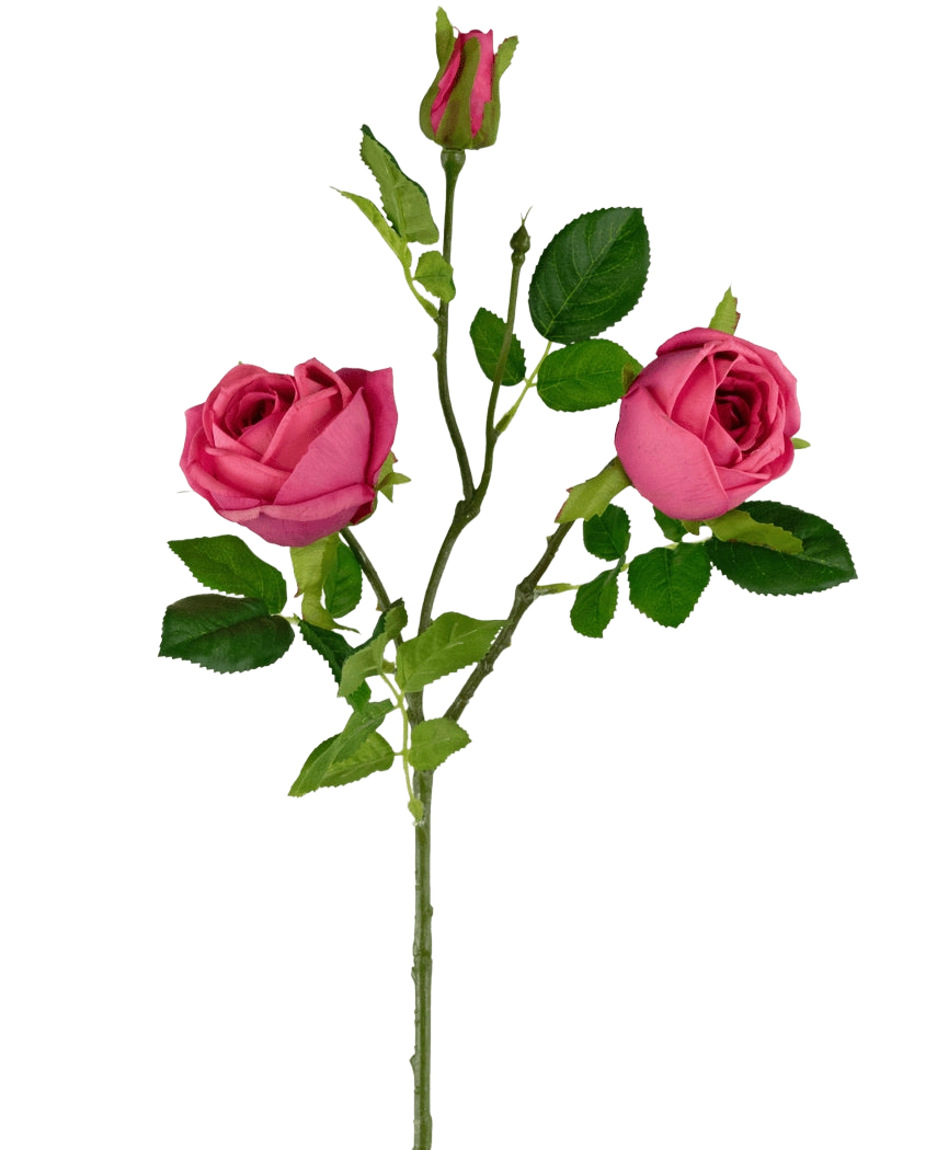 La Branche de Rose Artificielle Real Touch rose foncé 72 cm a une seule tige verte avec deux roses rose foncé en fleurs, un bouton de rose au sommet et plusieurs feuilles vertes sur un fond blanc uni.