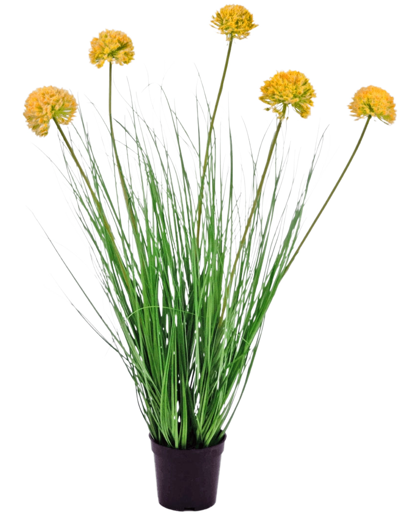 Le gazon artificiel oignon 70 cm ignifuge a de longues feuilles vertes fines et des tiges hautes avec des grappes de fleurs rondes jaunes, ce qui le fait ressortir magnifiquement sur un fond blanc.