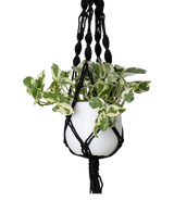 Corde à suspendre macramé simple noeud spirale noir Ø13 x H100 cm