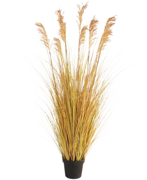 Le Gazon Artificiel Sorgho 150 cm ignifuge possède de longues lames jaune-vert et de hauts panaches bruns, ce qui en fait un choix parfait pour la décoration intérieure sur fond blanc.