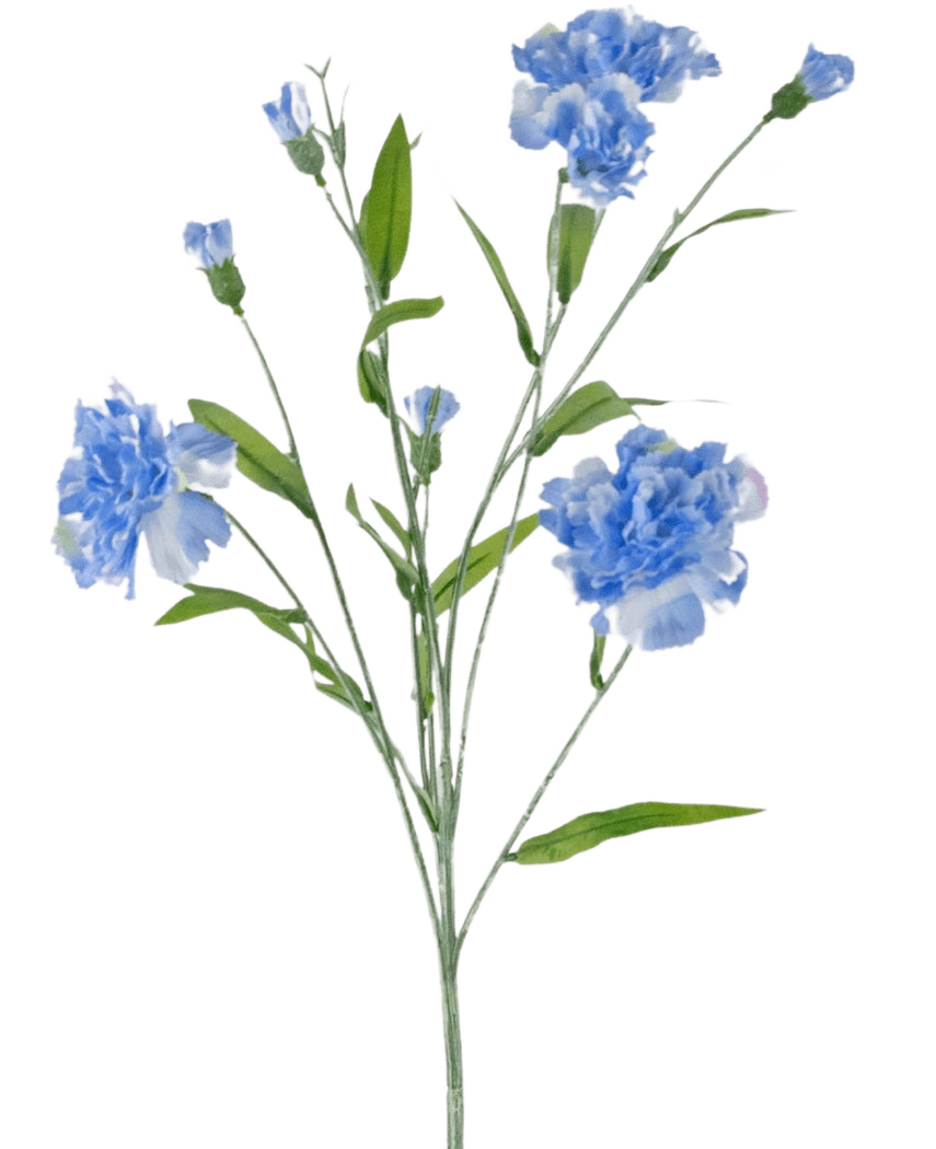 Le bouquet d'œillets artificiels de 70 cm bleu a une tige délicate avec plusieurs fleurs d'œillets bleu clair et des feuilles vertes, sur un fond blanc uni.