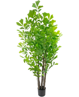 Le palmier queue de poisson artificiel 210 cm est une grande plante artificielle en pot avec de multiples tiges brunes et des feuilles vertes luxuriantes, présentée dans un petit pot noir sur fond blanc.
