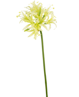 La fleur artificielle Nerine 70 cm verte a une longue tige verte avec de délicates fleurs ressemblant à des lys jaune clair et blanches, parfaites comme élégante fleur en soie dans un vase décoratif sur un fond blanc uni.