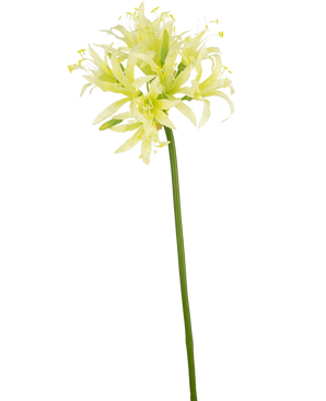 La fleur artificielle Nerine 70 cm verte a une longue tige verte avec de délicates fleurs ressemblant à des lys jaune clair et blanches, parfaites comme élégante fleur en soie dans un vase décoratif sur un fond blanc uni.