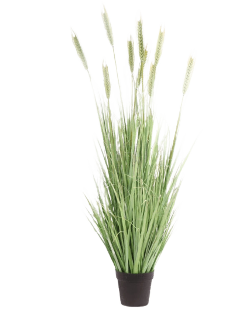 Le gazon artificiel Plant Green 150 cm ignifuge possède des brins verts hauts et minces et des tiges semblables à celles du blé, qui donnent un aspect naturel à l'intérieur. Cette plante de gazon artificiel se dresse sur un fond blanc uni.
