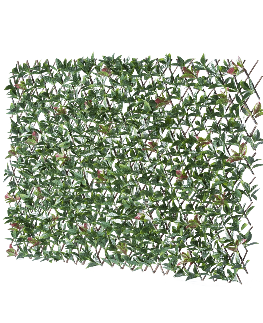 La Haie Artificielle Photonia Extensible 200x100 cm est une clôture rectangulaire extensible avec des feuilles vertes artificielles et des fleurs roses, représentées sur un fond blanc.