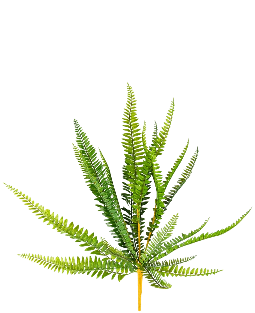 La fougère artificielle de 55 cm a de longues feuilles pointues d'un vert vif qui dépassent vers l'extérieur, sur un fond blanc uni.