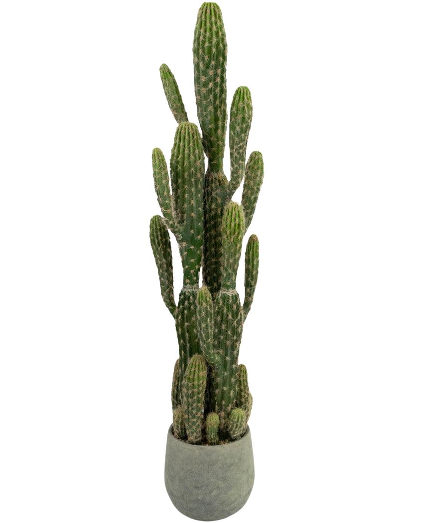 Le Cactus Artificiel 100 cm a de hauts bras verticaux droits avec des crêtes, dans un pot rond gris sur un fond blanc uni.