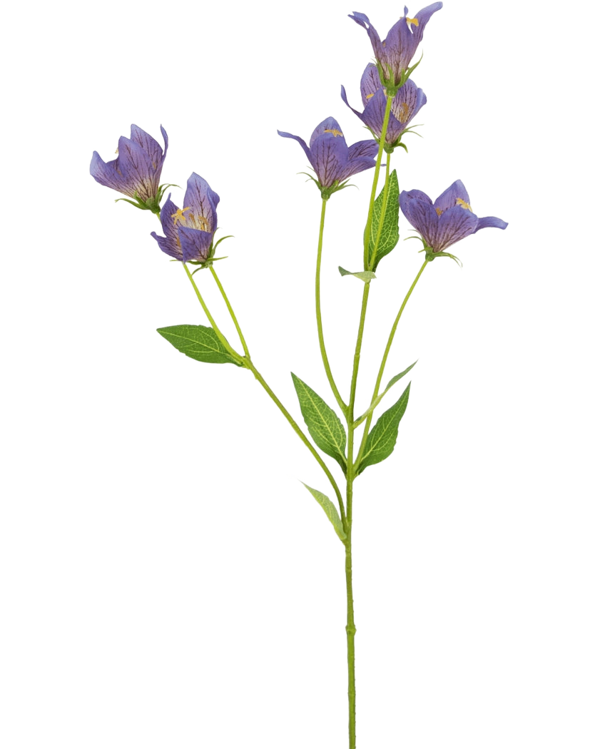 La fleur artificielle Harebell 62 cm violette possède une seule tige verte avec de multiples branches, chacune décorée de délicates fleurs violettes et de feuilles vertes, sur un fond blanc uni.