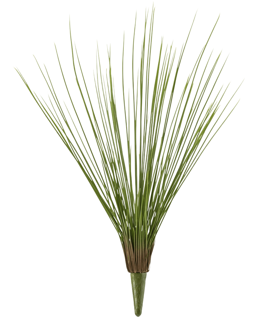 Le gazon artificiel Royal Grass UV 60 cm possède des tiges de gazon artificiel vertes, hautes et fines, regroupées à la base et en éventail vers l'extérieur, sur un fond blanc uni.