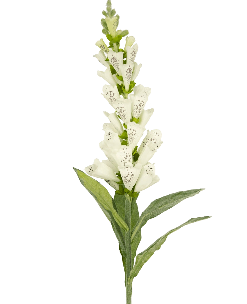 La fleur artificielle Foxglove 90 cm blanche a des feuilles vertes et des fleurs tubulaires blanches tachetées - idéales pour une décoration luxueuse ou comme accent frappant dans un bouquet de fleurs artificielles.