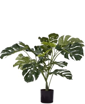 La Plante Artificielle Monstera 85 cm est une plante artificielle aux grandes feuilles vertes brillantes avec des fentes et des trous caractéristiques, présentées dans un simple pot noir sur fond blanc.