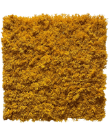 La haie artificielle mousse jaune ignifuge 50x50 cm est un panneau de mousse jaune vif, densément compacté, aux bords inégaux, représenté sur un fond blanc uni.