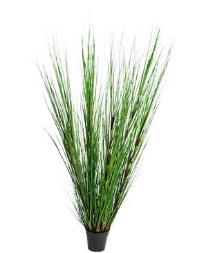 Le gazon artificiel oignon 150 cm ignifuge a de longues feuilles fines et dressées ressemblant à de l'herbe verte et de longues tiges, sur un fond blanc uni.