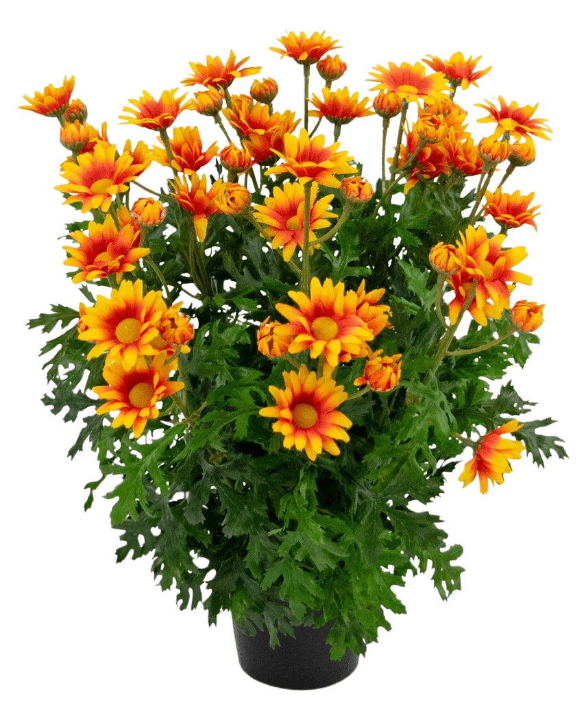 La plante artificielle Daisy UV 31 cm présente des fleurs orange et jaune vif ressemblant à des marguerites avec des feuilles vertes luxuriantes et profondément lobées, le tout dans un arrangement en pot isolé sur un fond blanc.