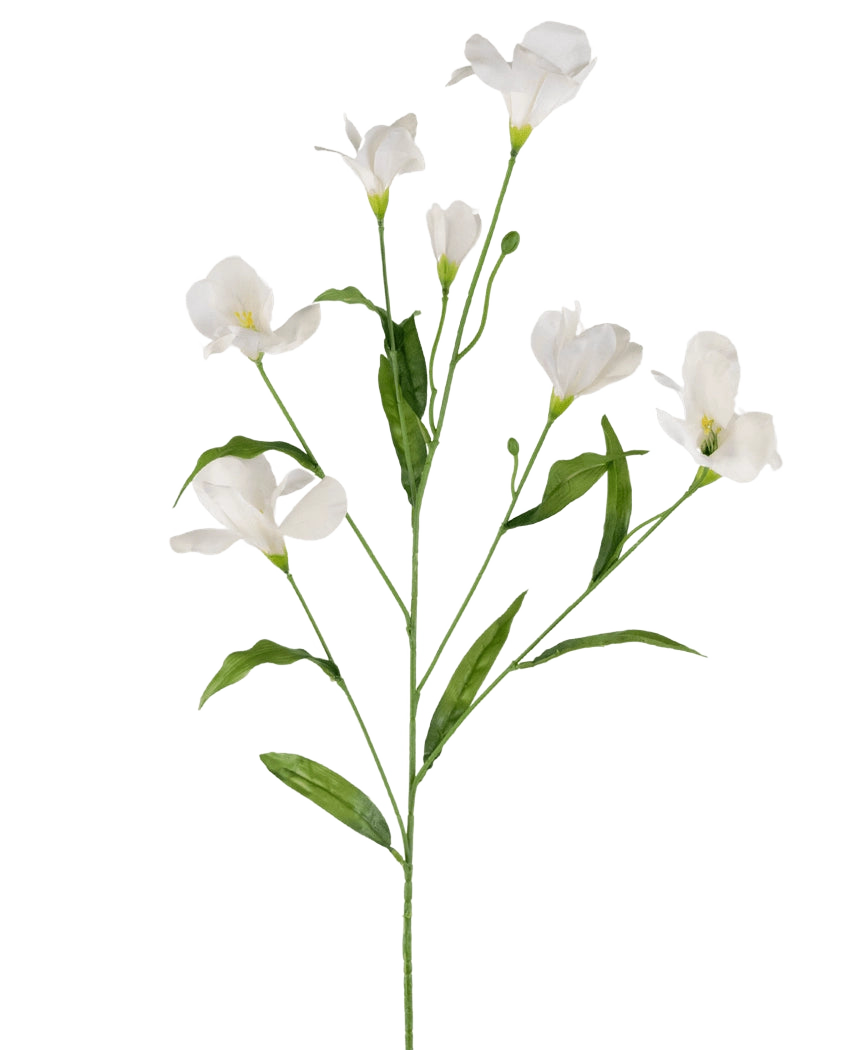 Le Rhododendron Azalée Artificiel Real Touch Blanc 80 cm possède une seule tige verte avec de multiples branches, chacune avec de délicates fleurs blanches et de longues feuilles vertes, le tout sur un fond blanc uni.