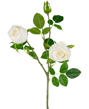 La Branche de Rose Artificielle Real Touch blanche 72cm possède une seule tige avec deux roses blanches épanouies, un bouton de rose et plusieurs feuilles vertes, le tout sur un fond blanc uni.