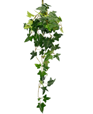 La plante artificielle suspendue Lierre Boston 70 cm vert possède des feuilles de lierre vertes et luxuriantes en forme d'étoile qui tombent sur un fond blanc uni.