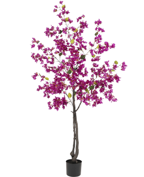 Le bougainvillier artificiel 180 cm violet a des branches sombres, des fleurs violettes éclatantes et des feuilles vertes dans un pot noir - parfait comme plante artificielle colorée pour votre salon.
