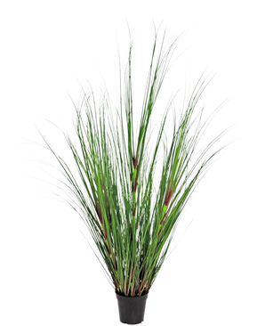 Le Gazon Artificiel Oignon 120 cm ignifuge possède de longues et fines tiges vertes aux accents rouge-brun, présentées dans un pot sur un fond uni blanc.