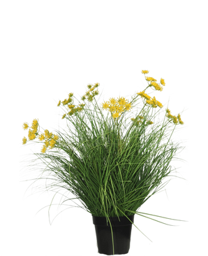 Le gazon artificiel Asteraceae 70 cm ignifuge a de longues et fines feuilles vertes et des bouquets de petites fleurs jaunes dans un pot noir, ce qui en fait un gazon artificiel nécessitant peu d'entretien sur un fond blanc uni.
