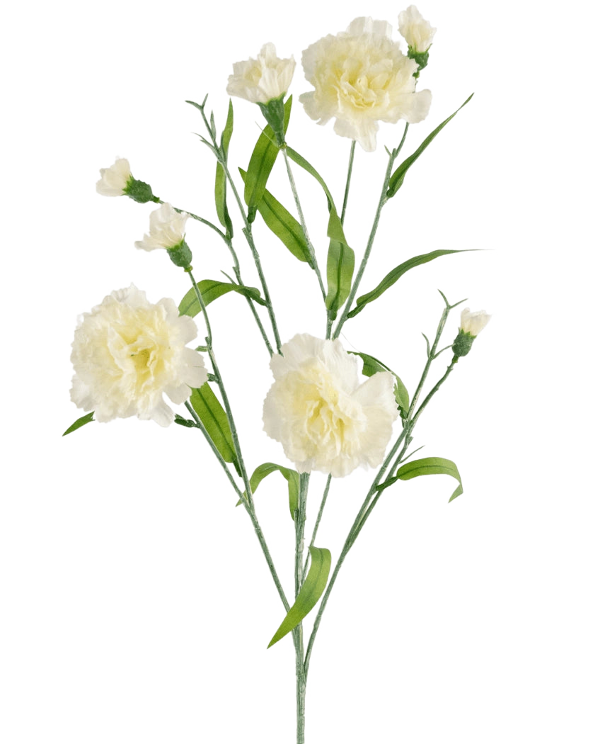 La fleur artificielle bouquet d'oeillets 70 cm blanc a une tige avec plusieurs fleurs d'oeillets blanches et des feuilles vertes sur un fond blanc uni.