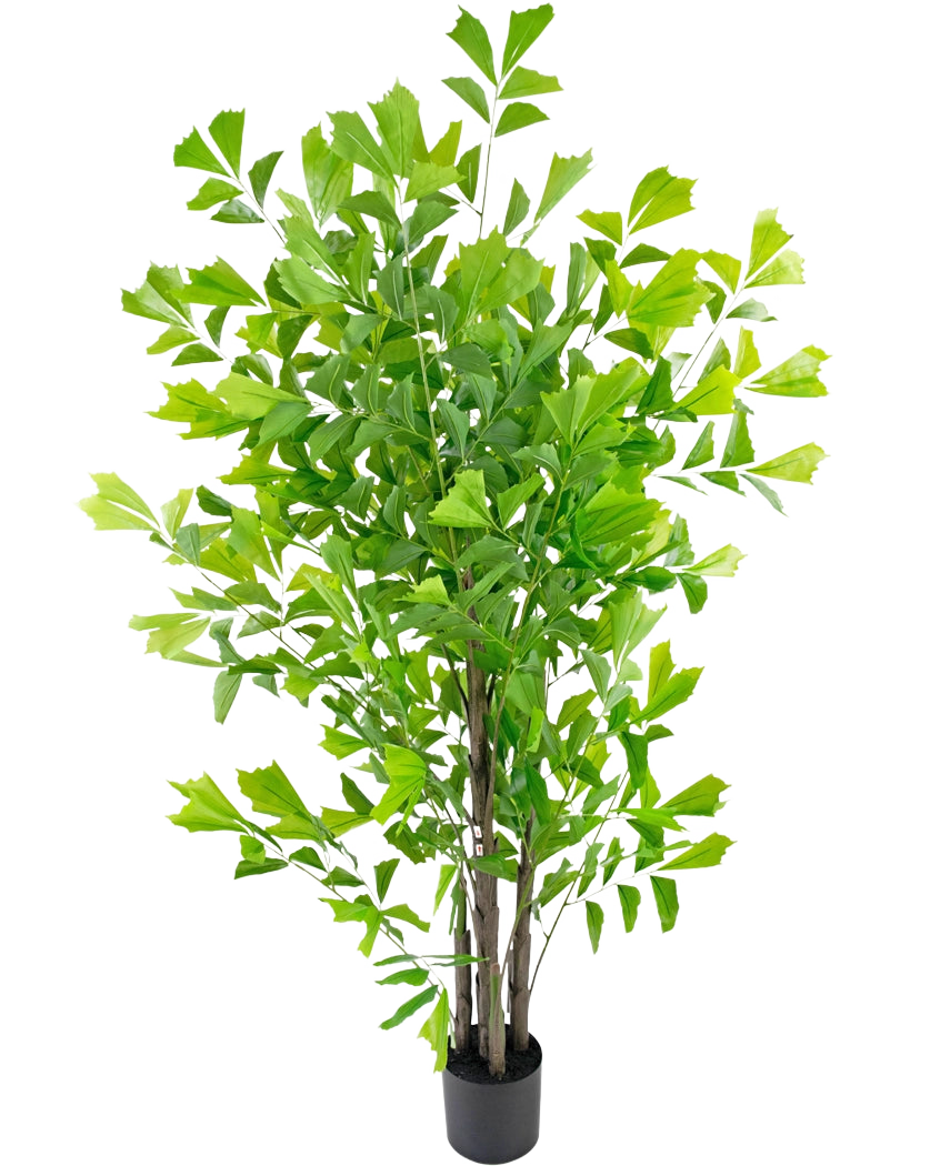 Le palmier queue de poisson artificiel 180 cm est un grand arbre artificiel avec de multiples troncs bruns minces et des feuilles denses et vert vif, dans un petit pot noir sur fond blanc.