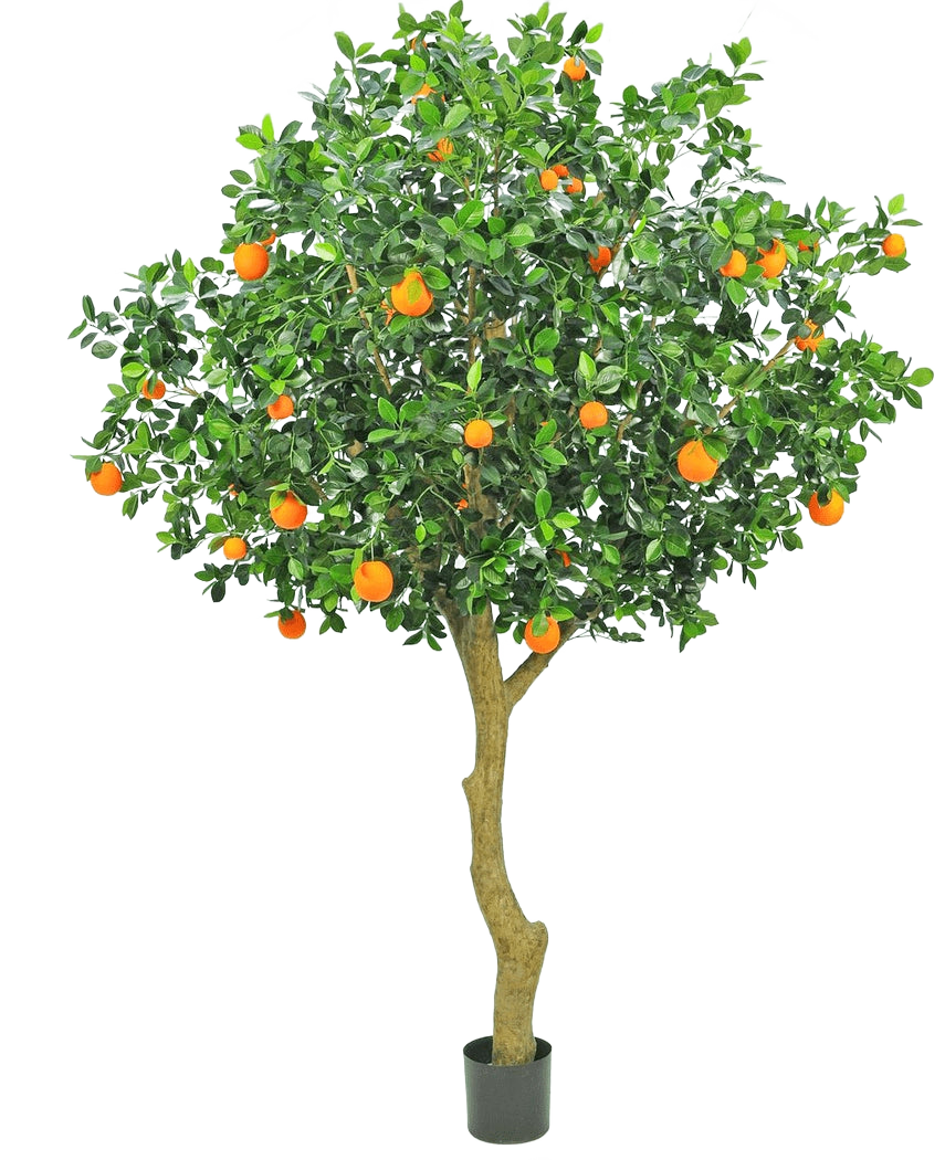 L'oranger artificiel de 275 cm a un tronc élancé, des feuilles vertes denses et des fruits orange vif, créant un oranger réaliste et décoratif en pot sur un fond blanc uni.
