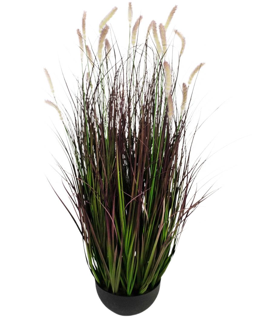 Le bonsaï d'herbe d'oignon chenille à gazon artificiel est une plante artificielle ignifuge de 100 cm avec de longues lames vertes et violet foncé avec des panaches doux de couleur crème, représentés sur un fond blanc uni.
