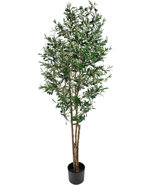 L'Olivier artificiel UV 180 cm est un faux olivier de grande taille aux branches fines et aux feuilles vertes, résistant aux UV, livré dans un simple pot noir et joliment mis en valeur sur un fond blanc.