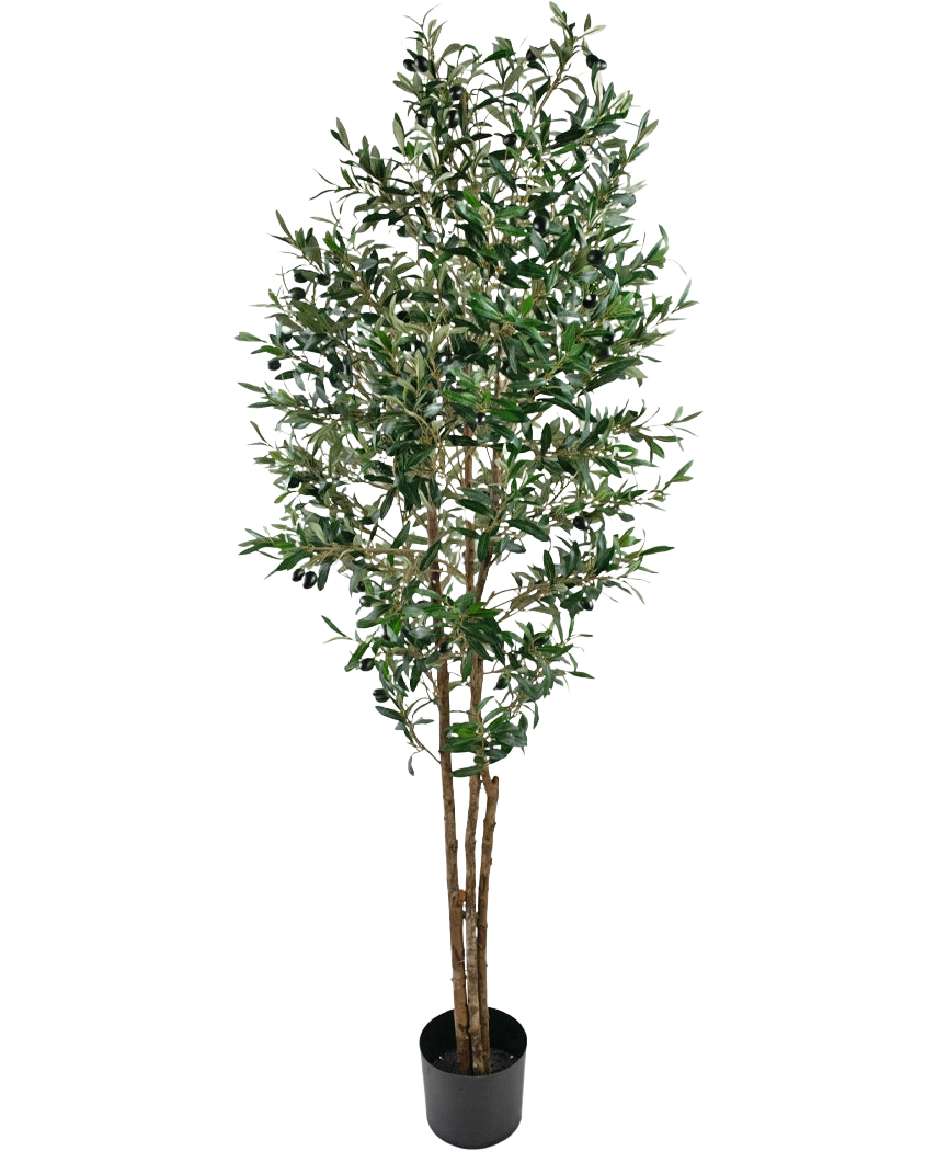 L'Olivier artificiel UV 180 cm est un faux olivier de grande taille aux branches fines et aux feuilles vertes, résistant aux UV, livré dans un simple pot noir et joliment mis en valeur sur un fond blanc.