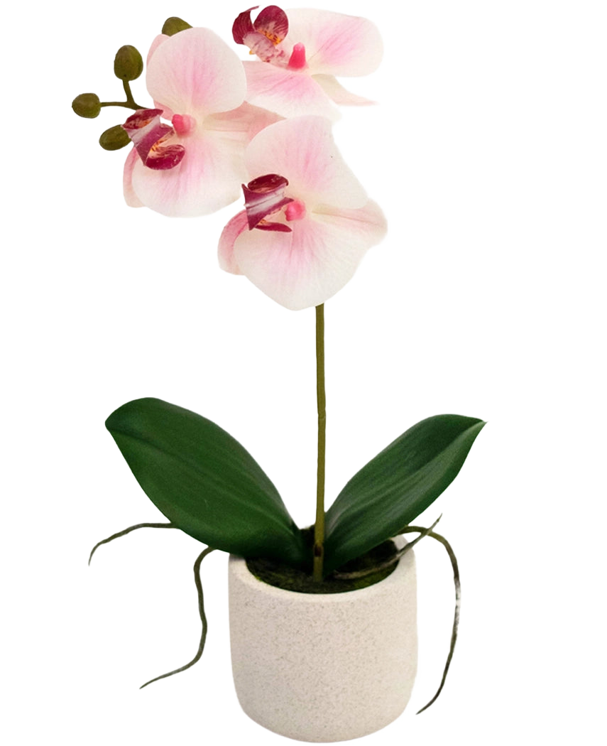 L'orchidée artificielle Real Touch 30 cm rose/blanc a trois fleurs rose clair et des feuilles vertes dans un simple pot blanc, parfait pour égayer n'importe quelle pièce.