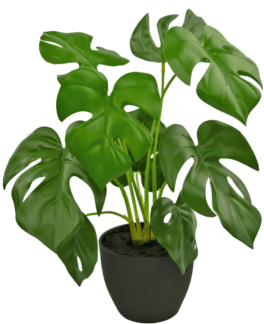 Le Monstera artificiel 40 cm en pot décoratif noir est un Monstera artificiel avec de grandes feuilles vertes brillantes avec des trous et des fissures naturelles, dans un simple pot décoratif noir rempli de terre sombre.