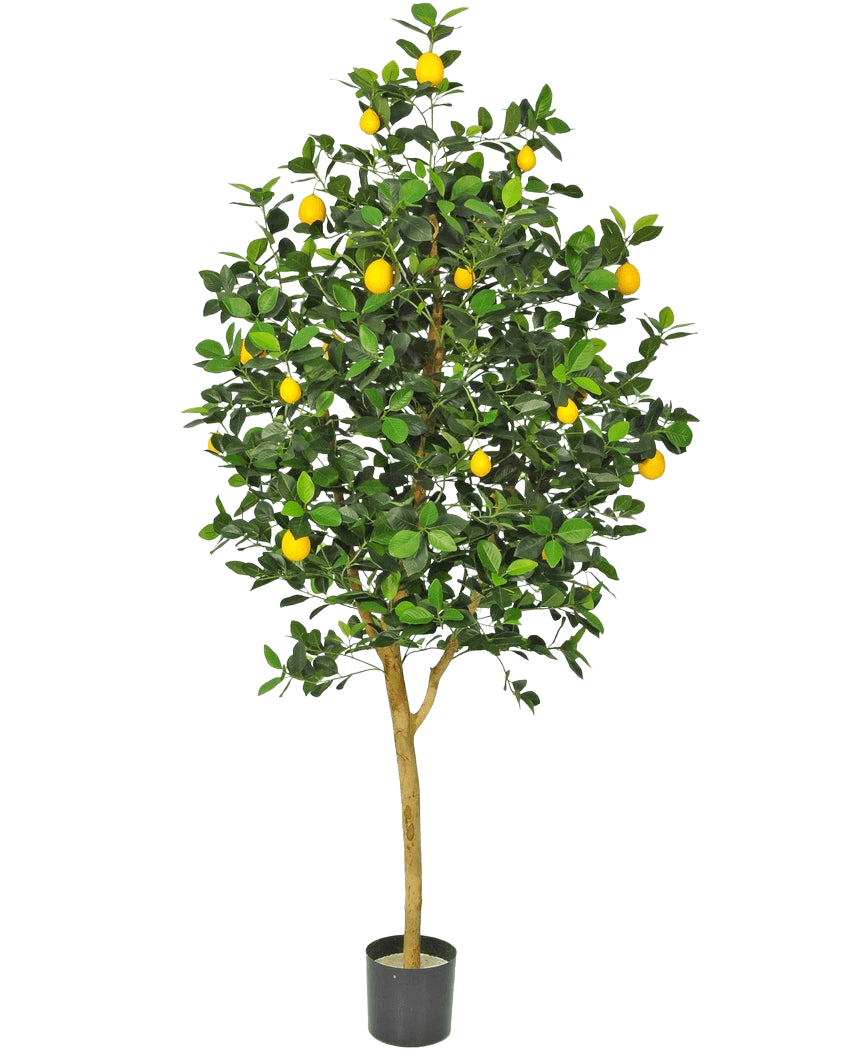 Le Citronnier Artificiel 150 cm a un tronc marron, des feuilles vertes et plusieurs citrons jaunes dans un pot sur un fond blanc uni.
