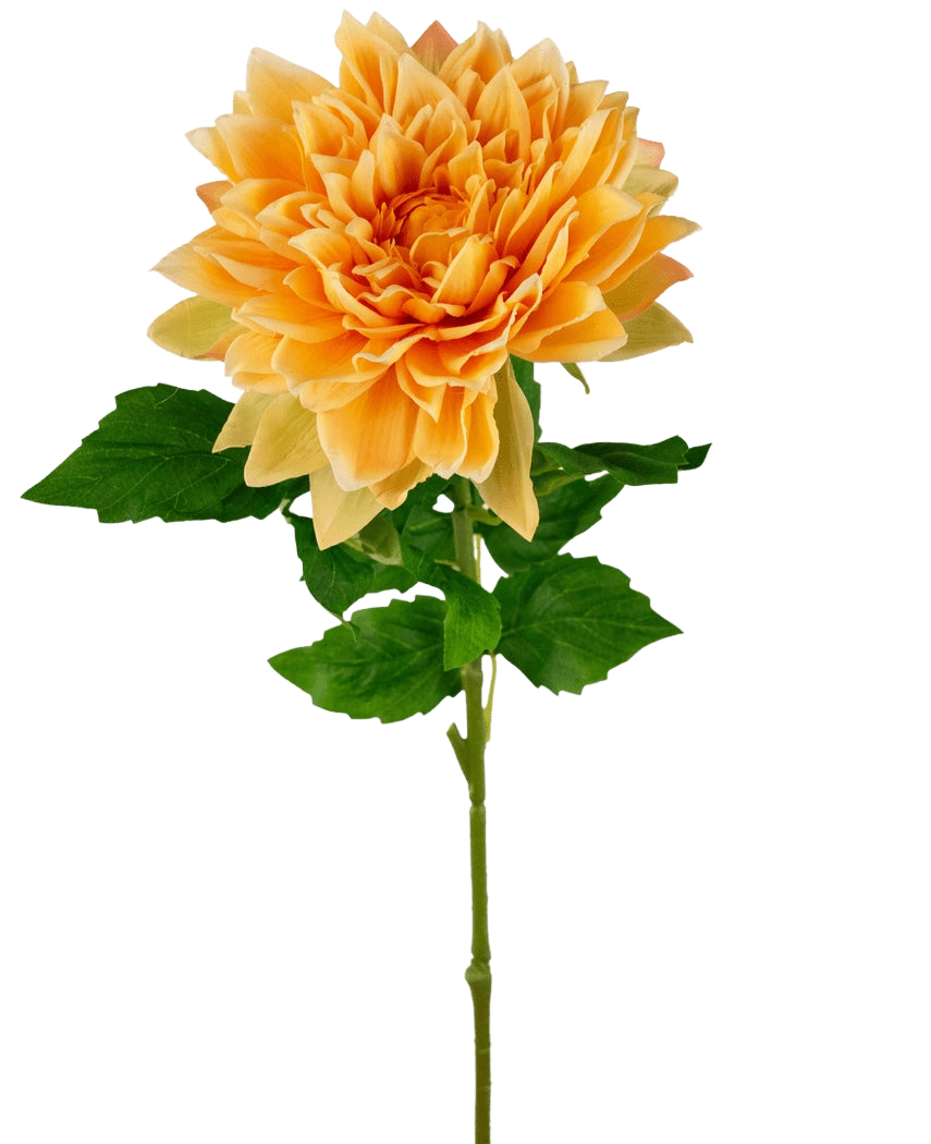 Le Kunst Georgine Real Touch jaune 70 cm possède un seul dahlia jaune avec des pétales superposés et des feuilles vertes sur une longue tige, isolé sur un fond blanc.
