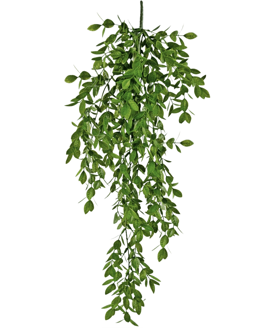 La plante artificielle suspendue Jasmin 70 cm présente des grappes denses de petites feuilles vertes qui tombent naturellement et créent un effet drapé luxuriant sur un fond blanc.
