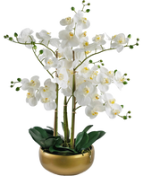 L'orchidée artificielle Real Touch 50 cm blanche présente des orchidées blanches réalistes avec des cœurs jaunes et des bourgeons verts, le tout disposé avec des feuilles vertes dans un élégant pot doré.