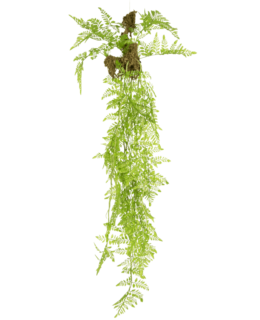 La plante artificielle suspendue Fern Mix Deluxe 100 cm a des feuilles de fougère vertes réalistes et des racines exposées avec des touffes de terre, qui pendent élégamment sur un fond blanc uni.
