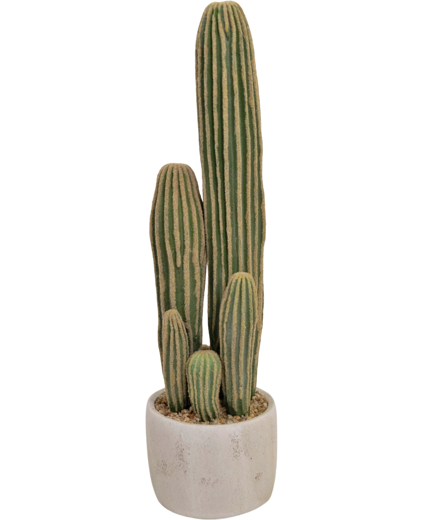 Le cactus artificiel de 59 cm a trois longues tiges vertes nervurées de différentes hauteurs dans un petit pot rond blanc, représenté sur un fond uni.