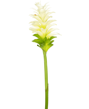 La Fleur Artificielle Curcuma 80 cm est une fleur artificielle unique de curcuma jaune-blanc avec des pétales superposés et une longue tige verte, isolée sur un fond blanc uni.