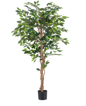 Plante artificielle Ficus Green 180 cm