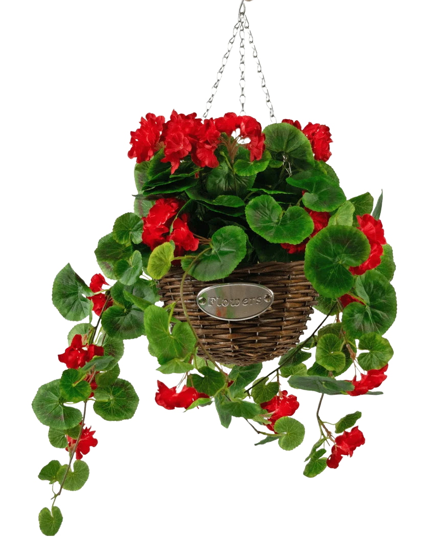 Le bégonia artificiel rouge dans un panier UV de 70 cm présente des bégonias artificiels rouges vifs et des feuilles vertes luxuriantes dans un panier tressé avec des tiges sinueuses, suspendu à une chaîne en métal et terminé par une petite plaque ovale indiquant « Fleurs ».