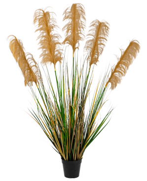 L'herbe de pampa artificielle 120 cm ignifuge a de hautes feuilles vertes et jaunes ressemblant à de l'herbe avec des panaches bruns duveteux. Cette plante artificielle élégante et ignifuge ajoute de la sophistication à toute collection de fausses plantes sur fond blanc.