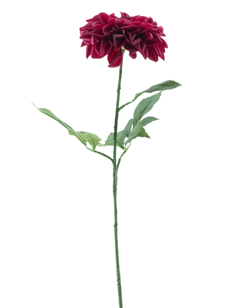 La Fleur Artificielle Dahlia Real Touch Violet 72 cm possède un seul dahlia violet aux pétales superposés et une longue tige verte avec plusieurs feuilles, sur un fond blanc uni.