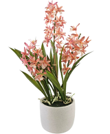 La plante artificielle Cymbidium rose de 58 cm a de hautes feuilles vertes et des grappes de fleurs d'orchidées roses et blanches, disposées dans un simple pot en céramique blanche, parfait pour égayer n'importe quel espace.