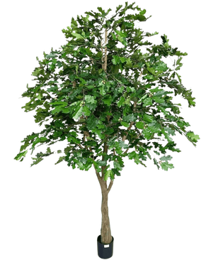 Le chêne artificiel de 270 cm a des feuilles vertes denses et un tronc brun épais dans un petit pot noir, sur un fond blanc - parfait comme arbre artificiel pour l'intérieur.