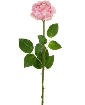 La Rose Artificielle Real Touch 56 cm rose clair est une rose artificielle simple rose clair avec une longue tige verte, de multiples feuilles vertes et des épines visibles, représentée sur un fond blanc uni.